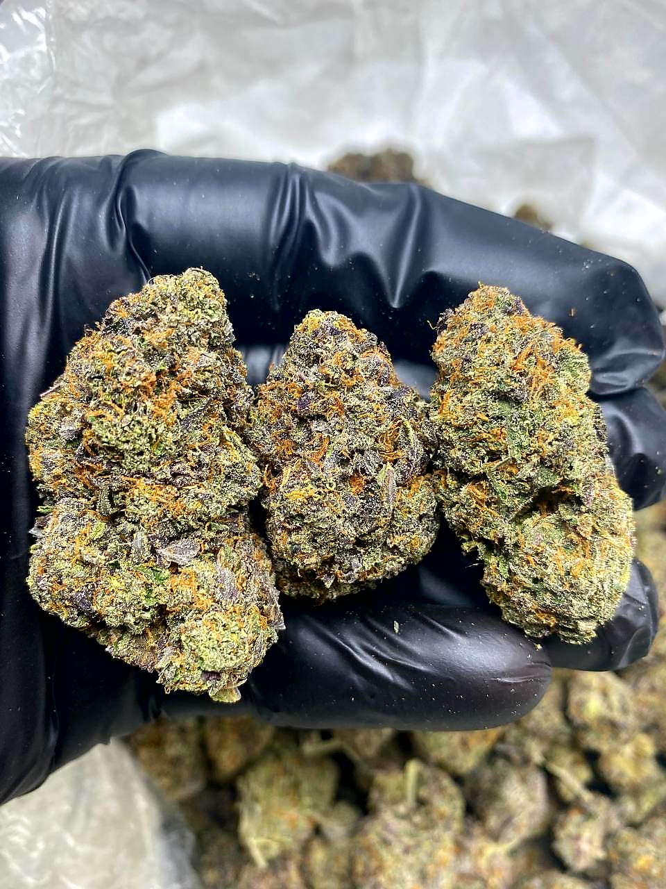 Grease monkey strain Mega Cannabis Shop