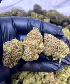 Strawberry Lemonade Strain