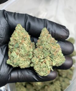 Super Silver Haze