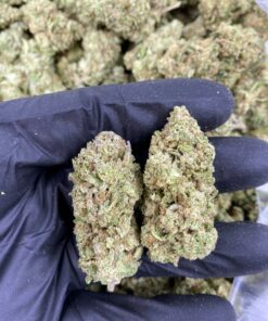 Super Sour Diesel