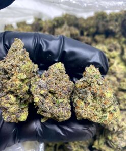 Super Jack Strain