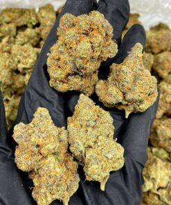 Train Wreck Strain